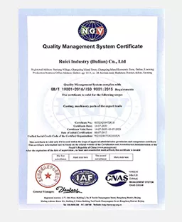 2020 Ruici ISO